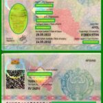 Новый, внутренний паспорт - ID карточка гражданина Узбекистана