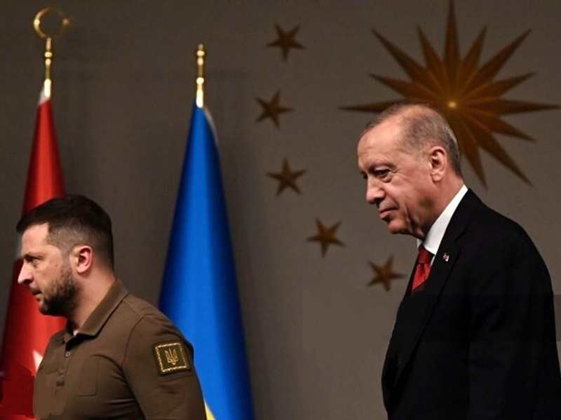 В Стамбуле началась встреча Зеленского и Эрдогана