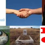 DO Jdu Vstrechi Collage