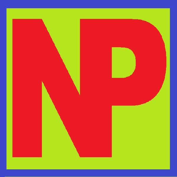 Natali Platonoff Logo
